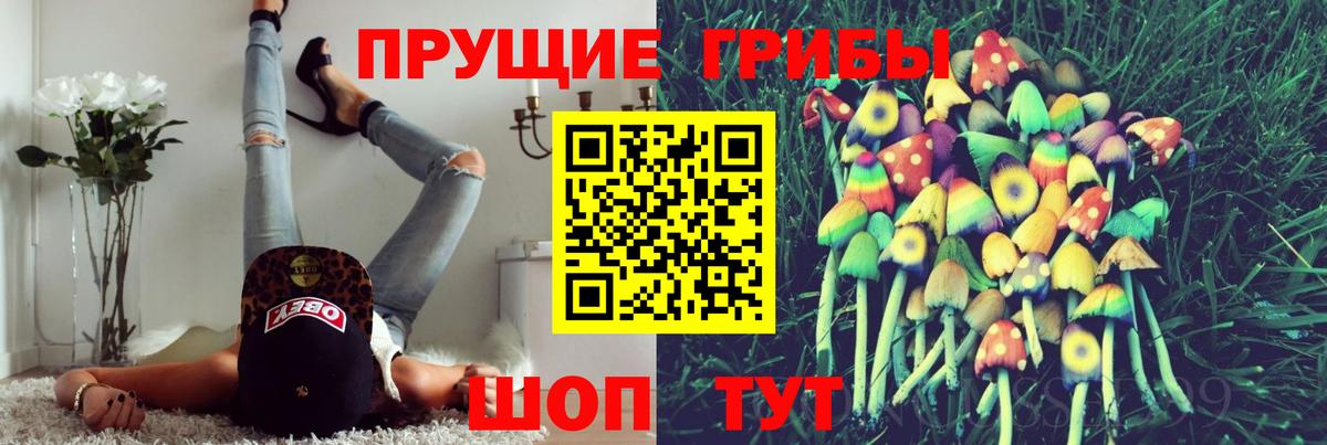 Псилоцибиновые грибы ЛСД  Псилоцибиновые грибы Psilocybe  цена наркотик  Волжский  Вход с VPN 